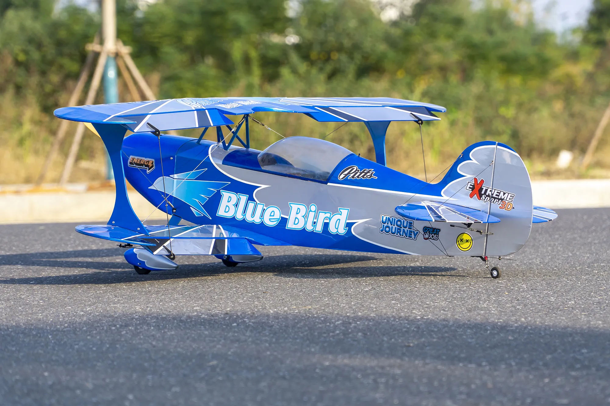 Pitts 3D Aerobatic Dancing Wings